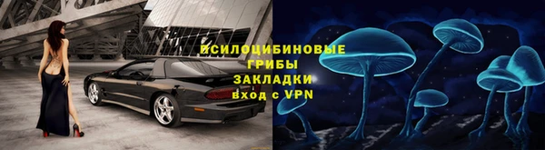гидра Верея
