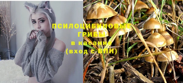бошки Ростов