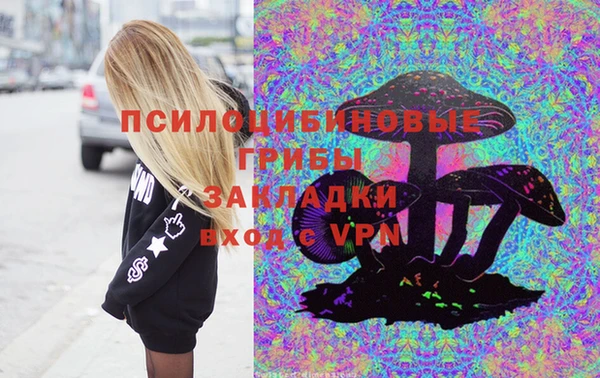 mdpv Рославль