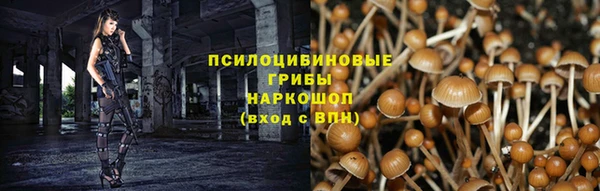 гидра Верея